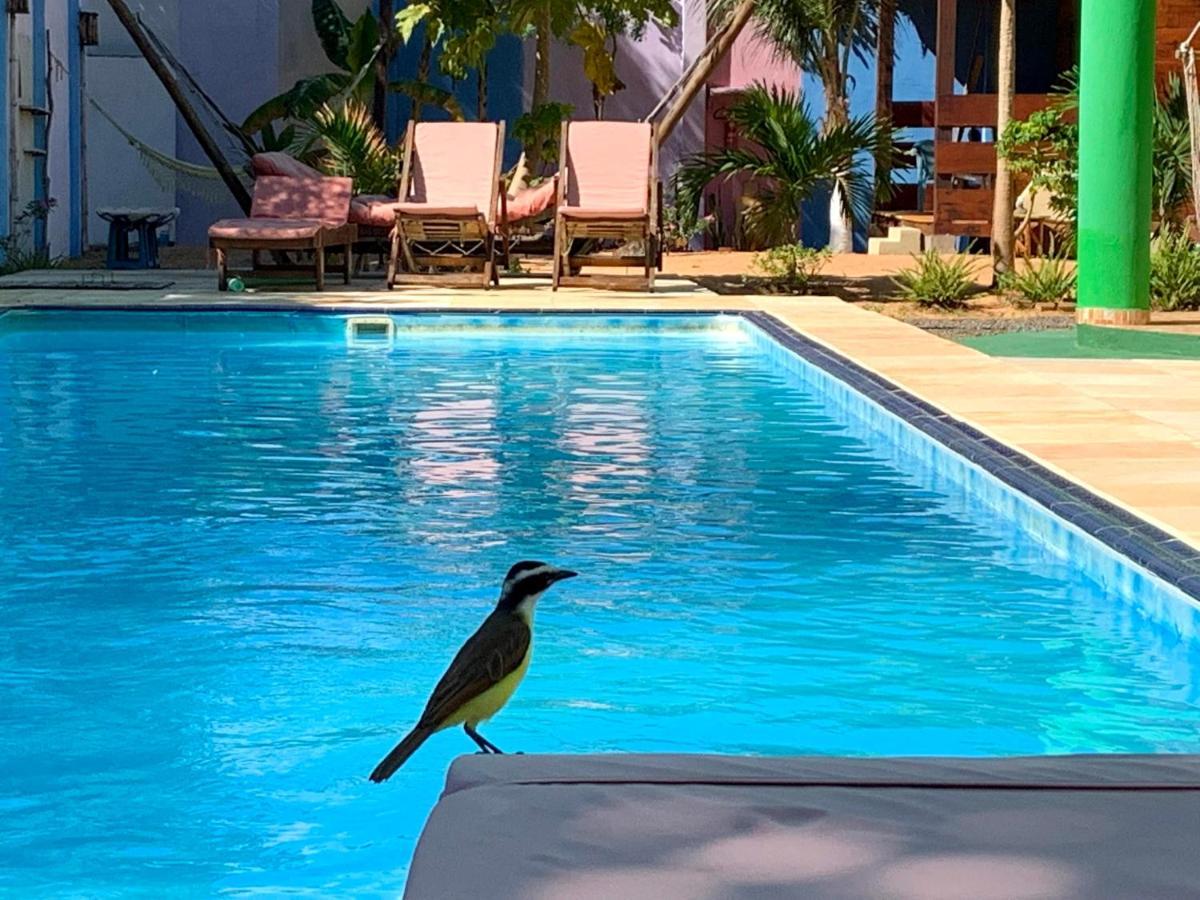 Pousada Janela Da Cor Jijoca de Jericoacoara Eksteriør bilde